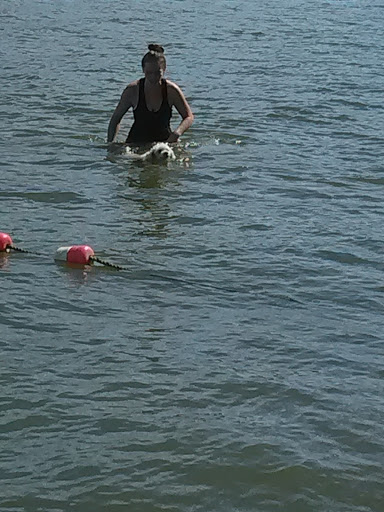 Park «Van Buren Park Beach», reviews and photos, 50901 S Interstate 94 Service Dr, Belleville, MI 48111, USA