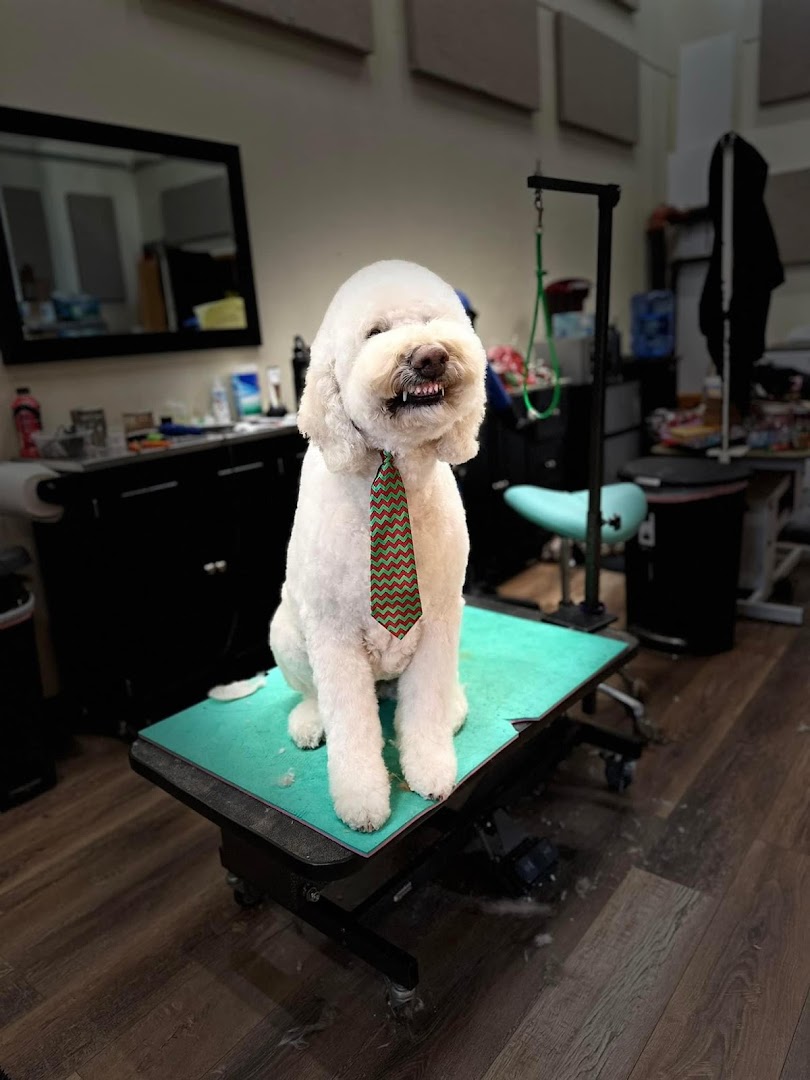 Soggy Dog Pet Grooming