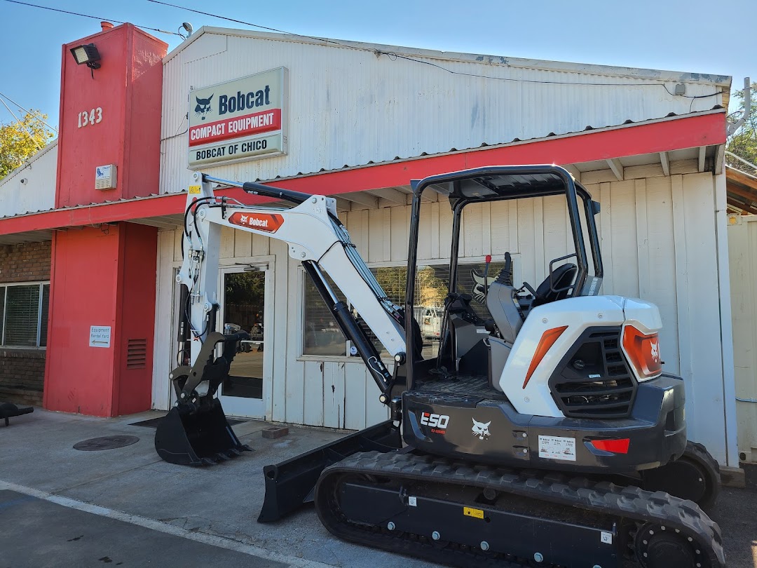 Bobcat of Chico