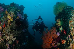Gadjah Laut Dive Centre image