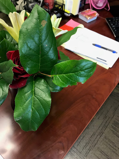 Florist «The Garden Path Gifts and Flowers», reviews and photos, 3810 Walnut St, Harrisburg, PA 17109, USA