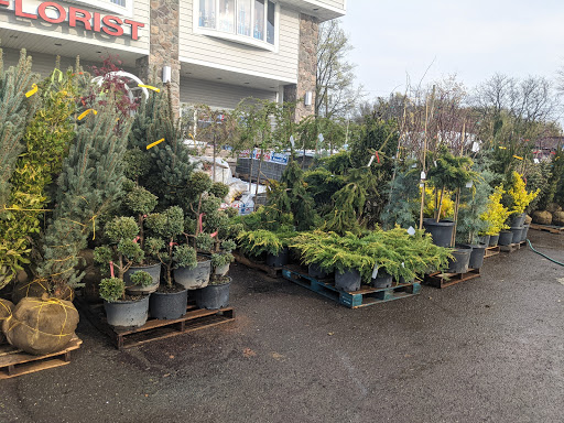 Market «Rising Up Garden Center, Landscape Design, & Florist», reviews and photos, 1314 St George Ave, Avenel, NJ 07001, USA