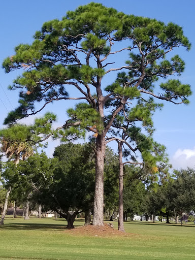 Private Golf Course «Rockledge Country Club», reviews and photos, 1591 S Fiske Blvd, Rockledge, FL 32955, USA