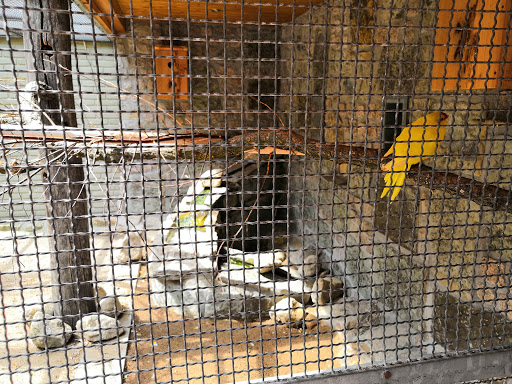 Gronau Der Zoo unter Gronau, 