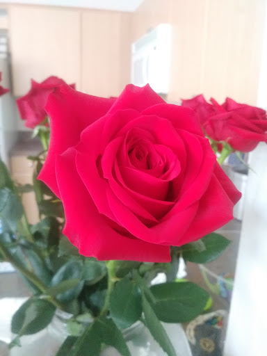 Grocery Store «Safeway», reviews and photos, 3840 E 104th Ave, Thornton, CO 80229, USA