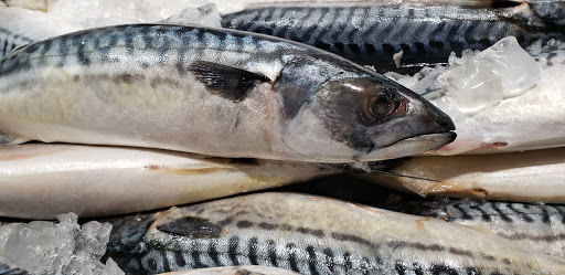 Supermarket «Island Pacific Supermarket Pittsburg», reviews and photos, 2100 N Park Blvd, Pittsburg, CA 94565, USA