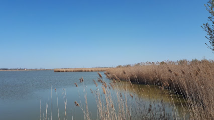 Csaj-tó