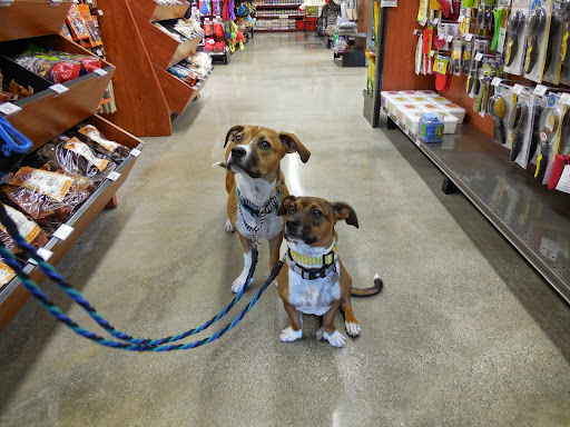 Pet Food Express image