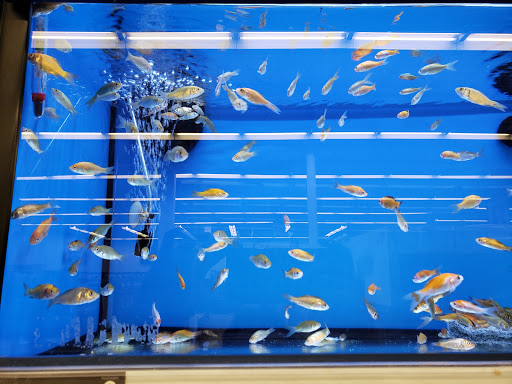 Petco image