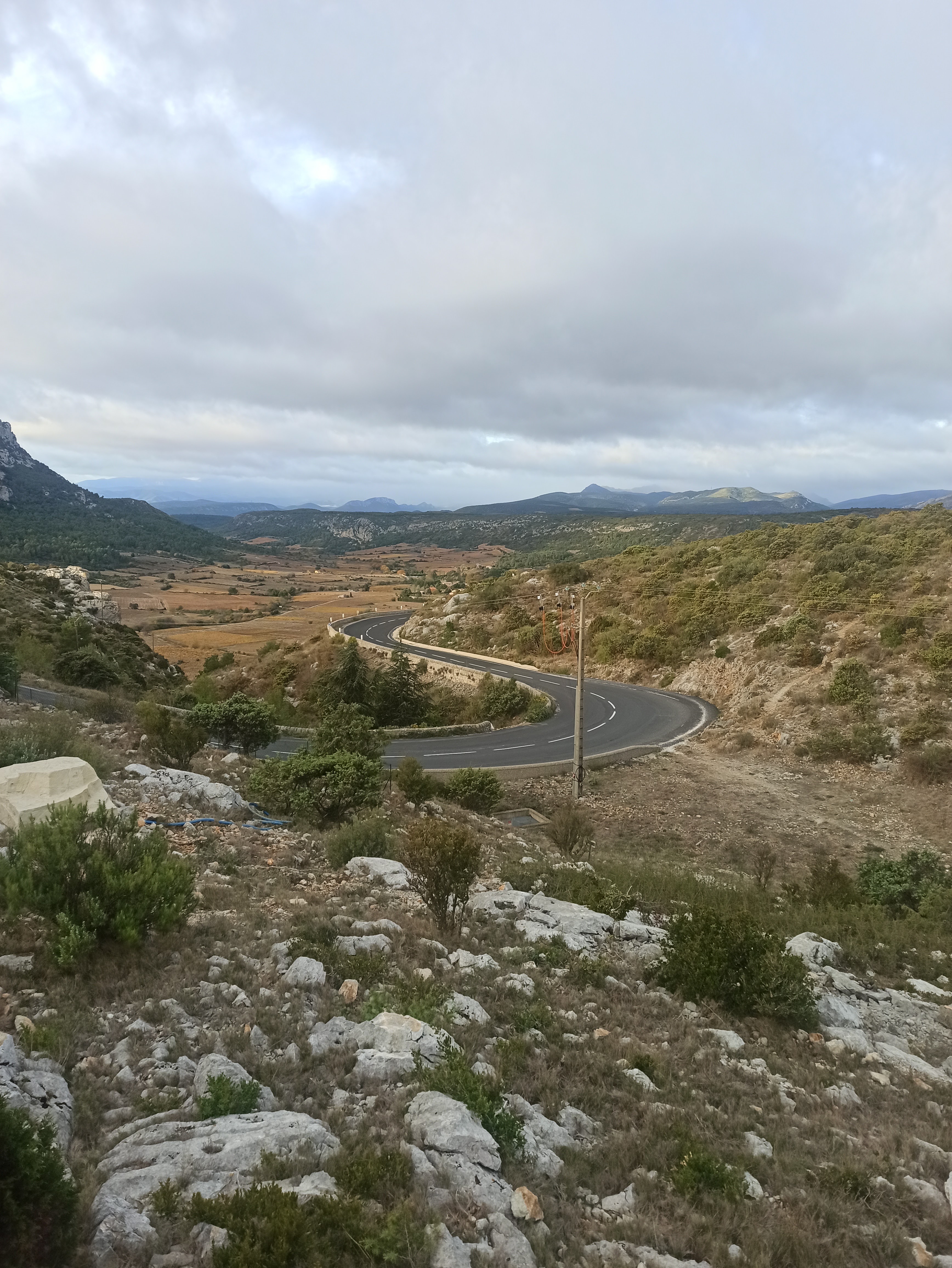 Photo n° 4 de l'avis de a. fait le 21/11/2022 à 12:36