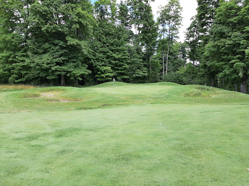 Golf Course «Mistwood Golf Course», reviews and photos, 7568 Ole White Dr, Lake Ann, MI 49650, USA