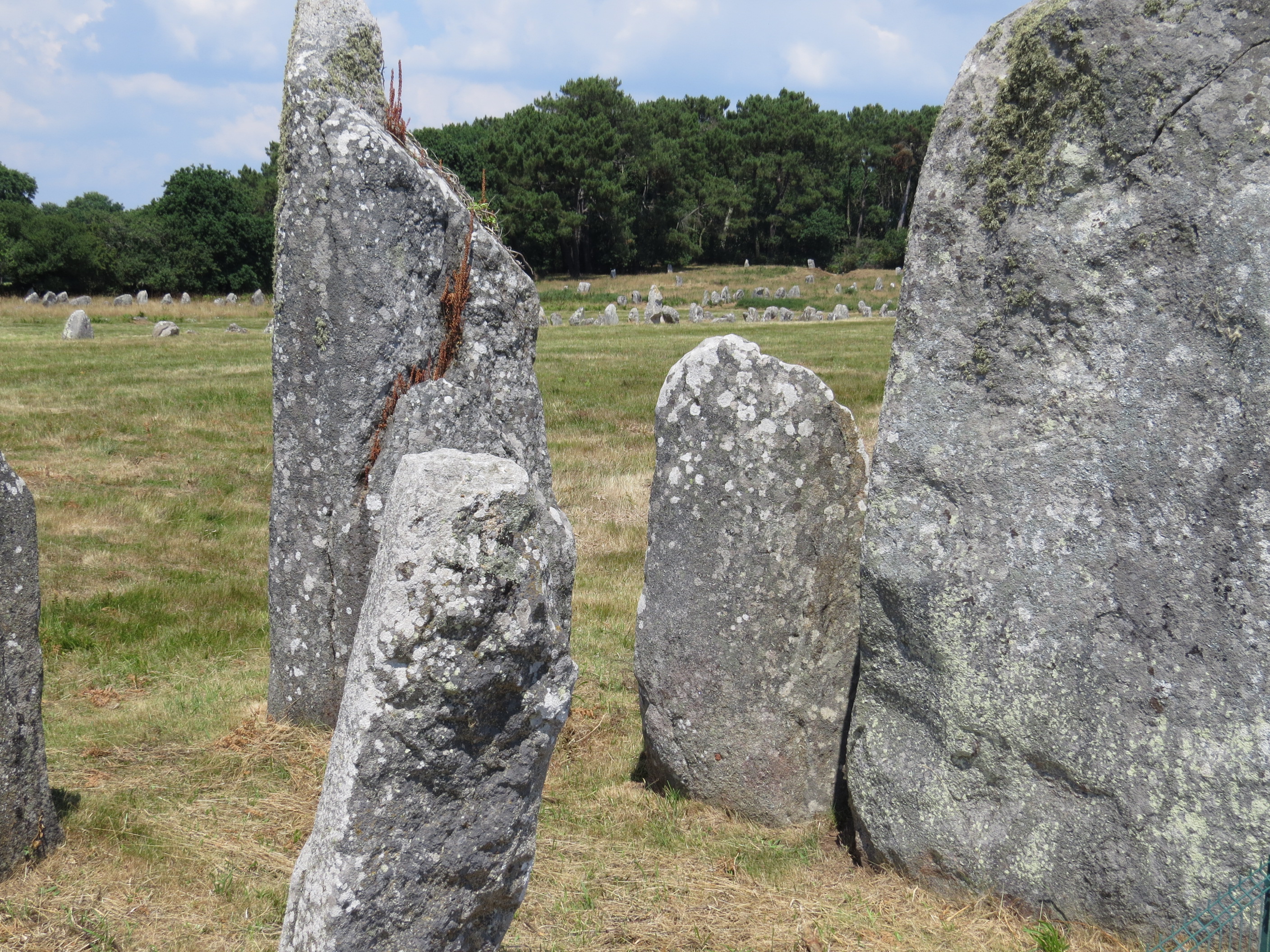 Photo n° 1 de l'avis de C..o fait le 13/08/2019 à 17:00