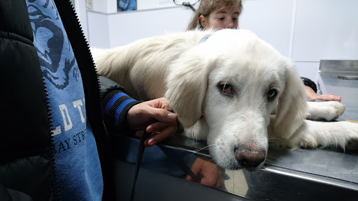 Clínica Veterinaria Santa Marta en Mataró