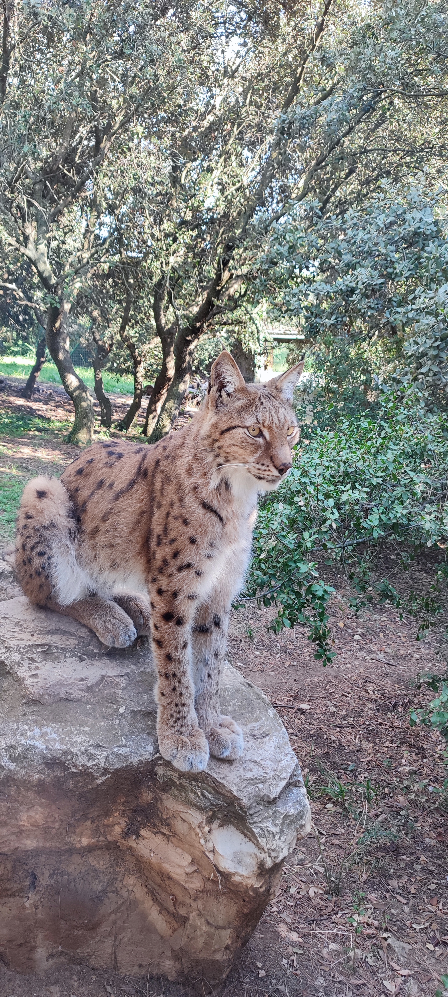 Photo n° 1 de l'avis de Jhonny.a fait le 14/09/2023 à 23:55