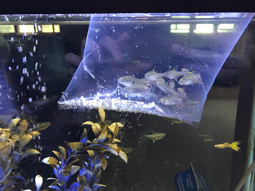 Tropical Fish Store «Tropi-Quatics Pet Center», reviews and photos, 337 S Main St, Lombard, IL 60148, USA