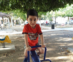 Gustavo Díaz Ordaz Park photo