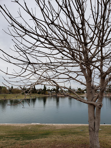 Park «Kiwanis Park», reviews and photos, 5500 S Mill Ave, Tempe, AZ 85283, USA