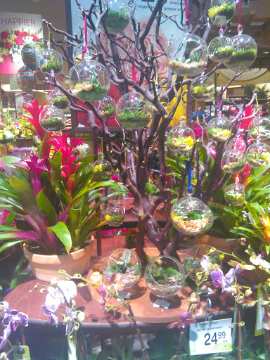 Grocery Store «Safeway», reviews and photos, 138 SW 148th St, Burien, WA 98166, USA