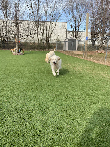 New Hope Boarding & Grooming