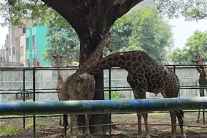 Zoo Children Park image