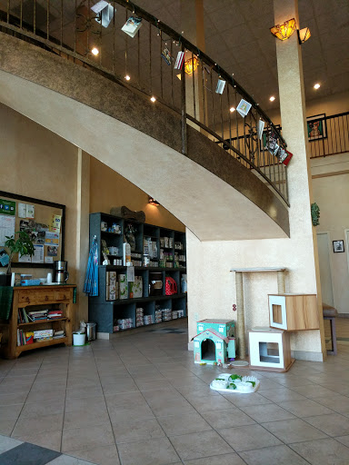 Cat Clinic image