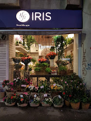 Floraria IRIS Coposu