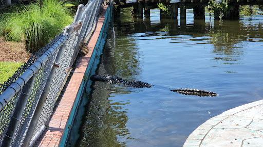 Amusement Park «Gatorland», reviews and photos, 14501 S Orange Blossom Trail, Orlando, FL 32837, USA