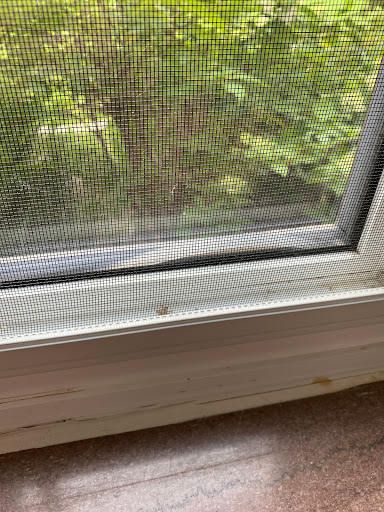 Window Installation Service «WeatherGard», reviews and photos