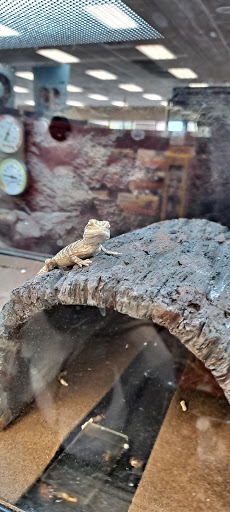 Pet Supply Store «Petco Animal Supplies», reviews and photos, 3284 Jefferson St, Napa, CA 94558, USA