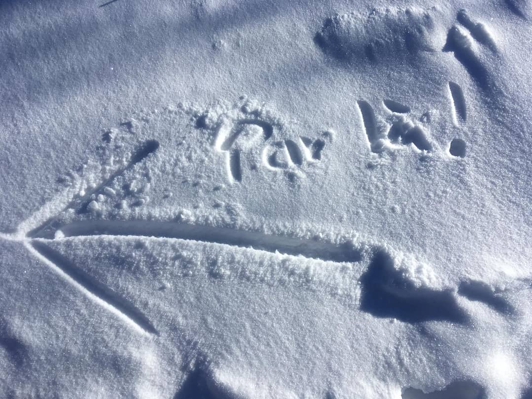 Photo n° 9 de l'avis de Yann.O fait le 09/02/2019 à 07:59
