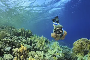 Snorkeling Tour Services Of Key West image