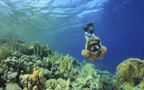 Snorkeling Tour Services Of Key West image