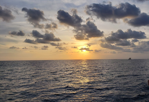 Port Waikiki Cruises