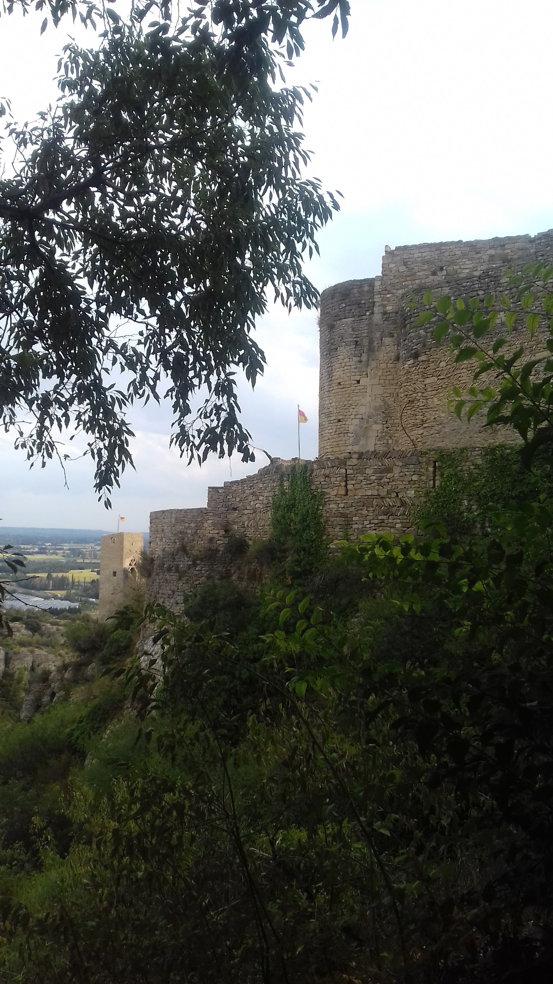 Photo n° 9 de l'avis de Christophe.e fait le 19/08/2019 à 12:53