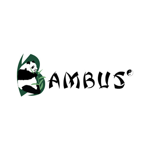 BAMBUS S.R.L. - Firmă de contabilitate