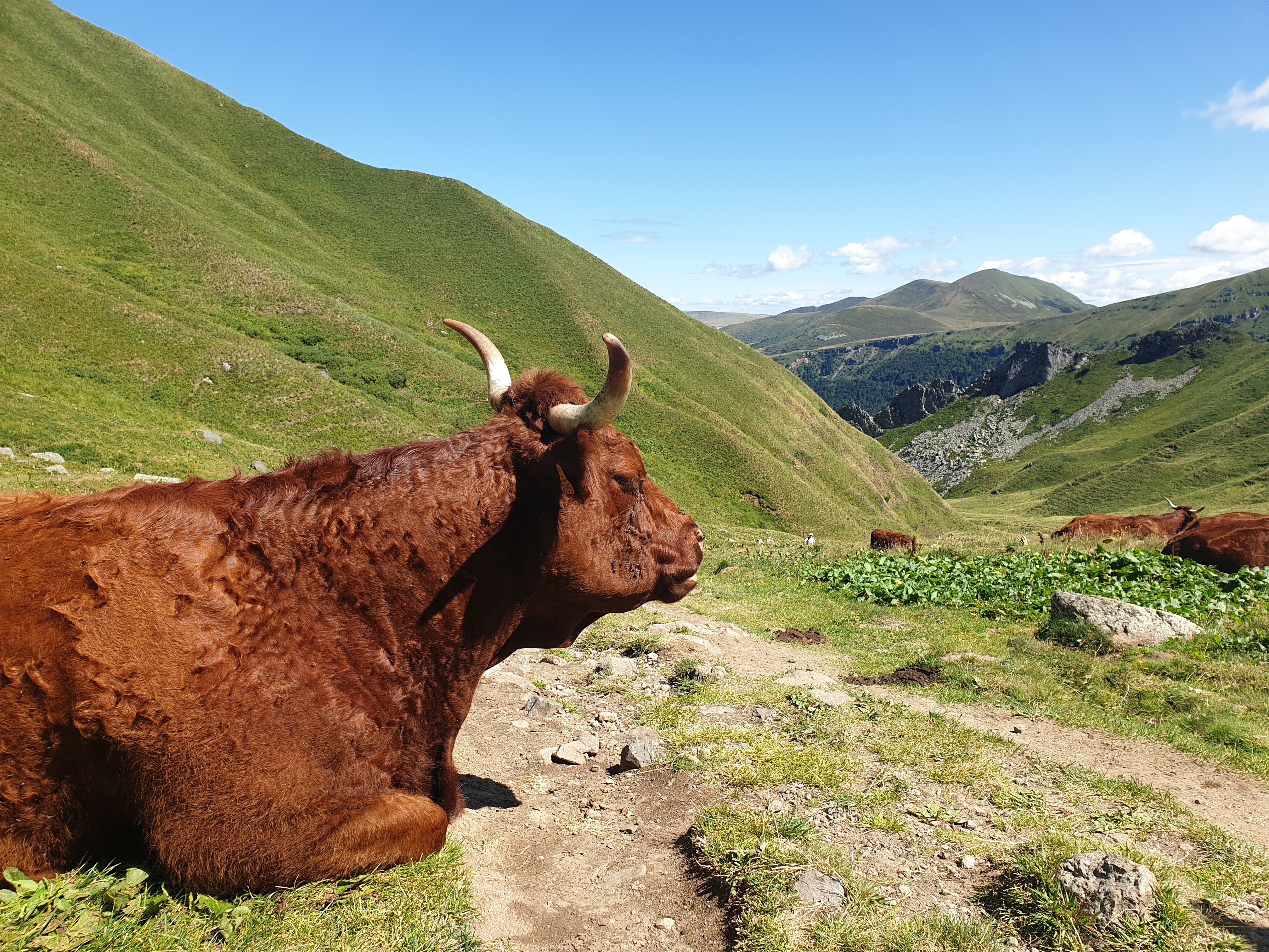 Photo n° 22 de l'avis de Romain.I fait le 10/08/2019 à 07:51