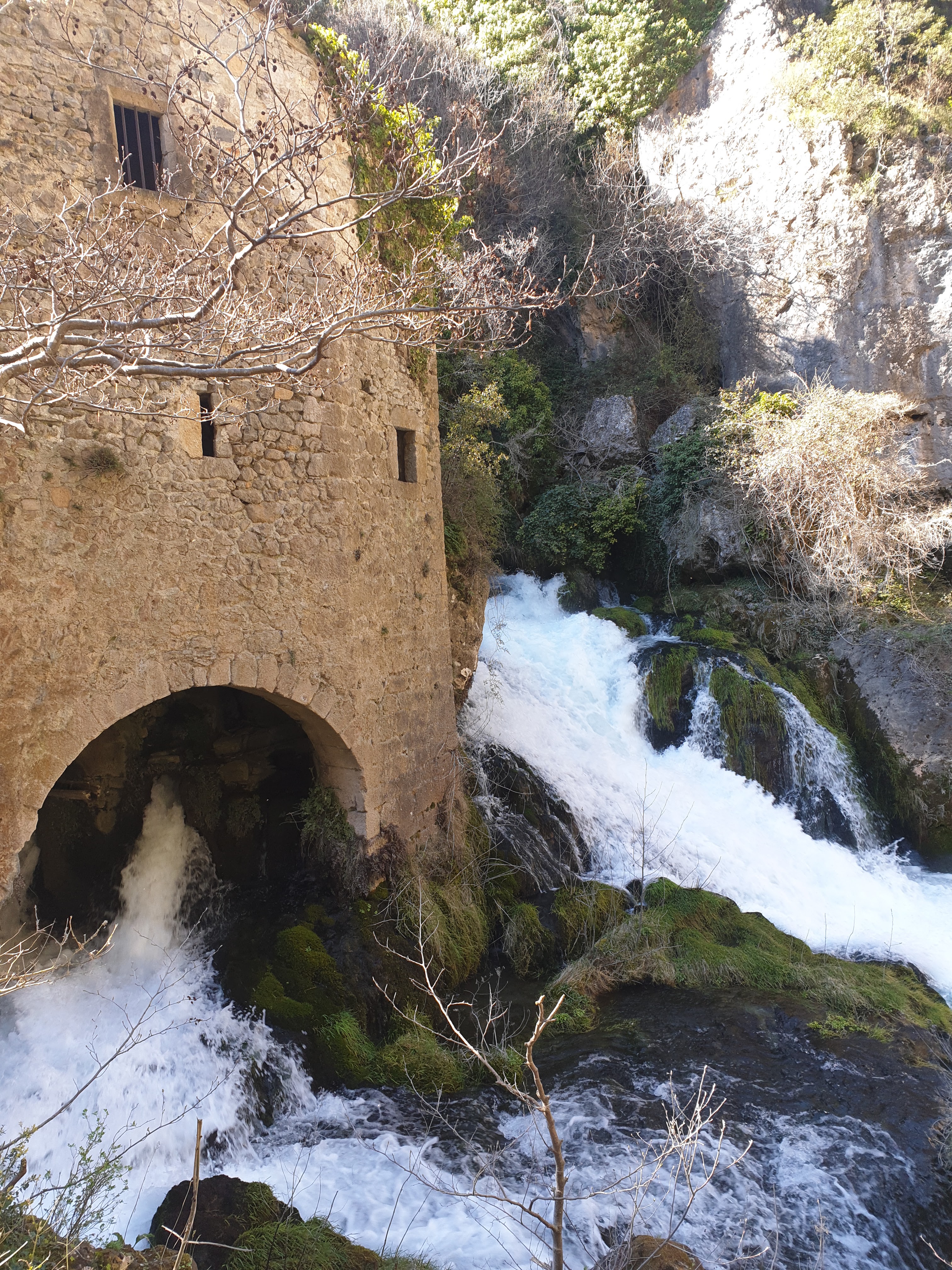 Photo n° 1 de l'avis de Julianne.a fait le 20/03/2021 à 19:00