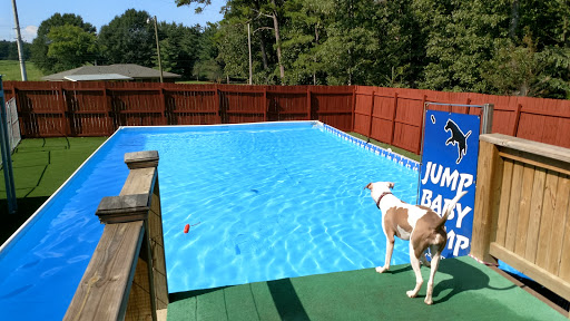 Pet Supply Store «Rucker Horse & Pet», reviews and photos, 3540 Keith Bridge Rd, Cumming, GA 30041, USA