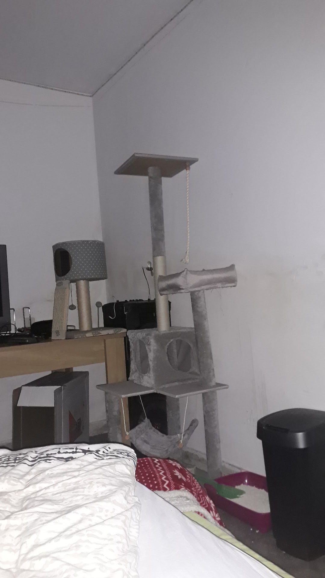Photo n° 1 de l'avis de kevin.o fait le 10/08/2019 à 04:00