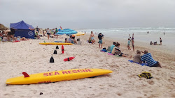 Struisbaai Main beach'in fotoğrafı ve yerleşim