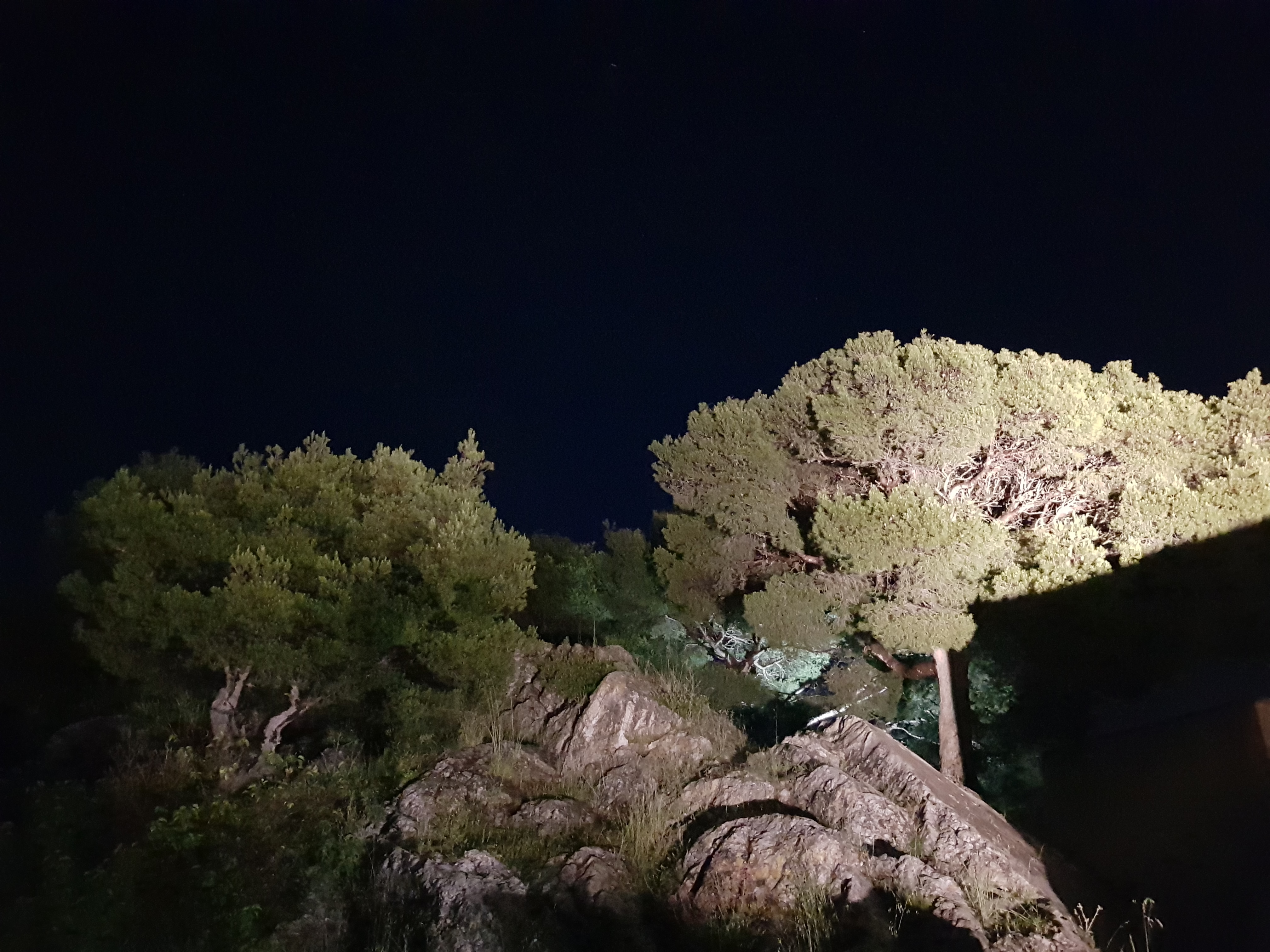 Photo n° 9 de l'avis de Philippe.l fait le 23/05/2018 à 20:01