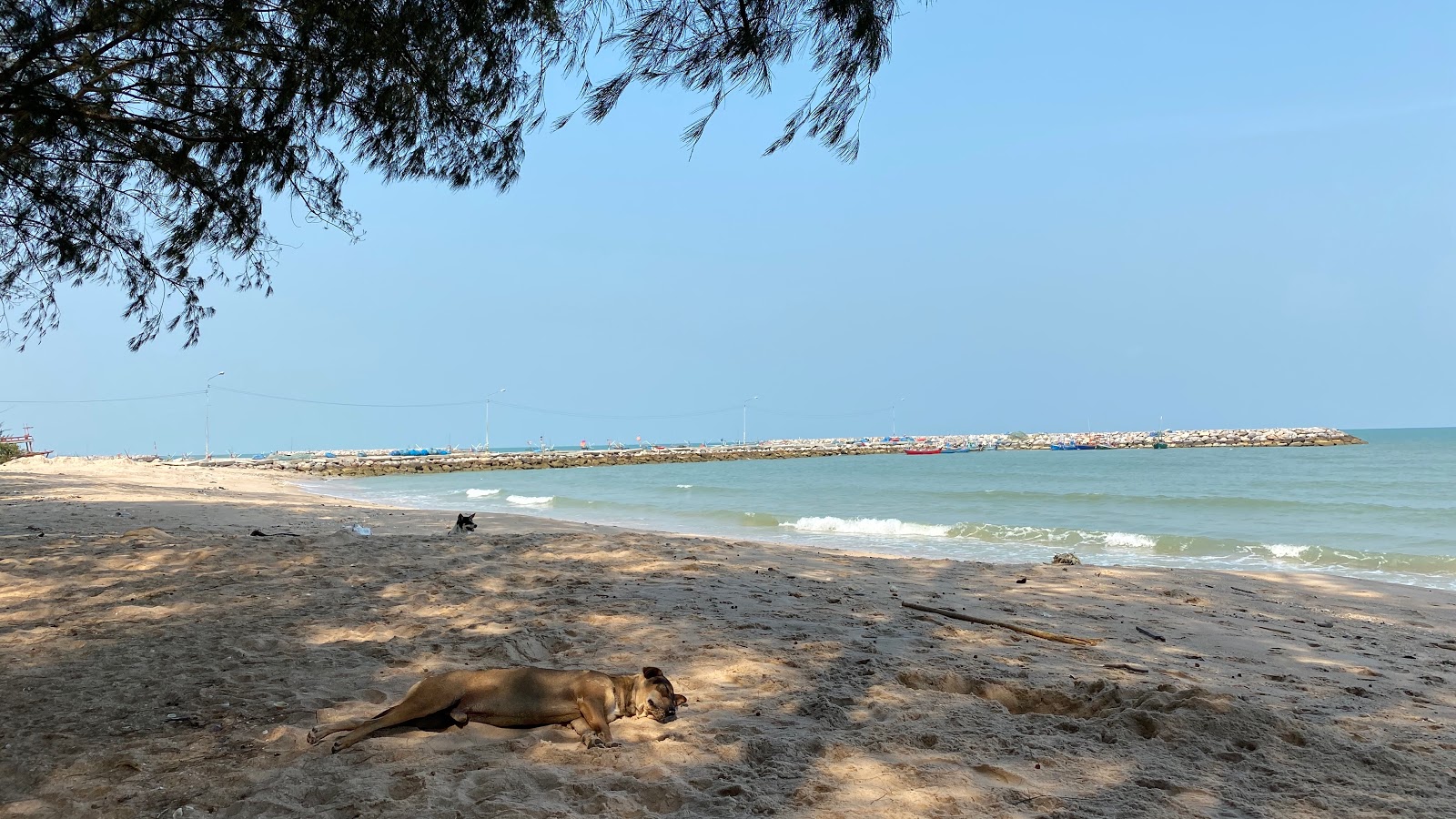 Foto de Bang Sai Yoi Beach con parcialmente limpio nivel de limpieza