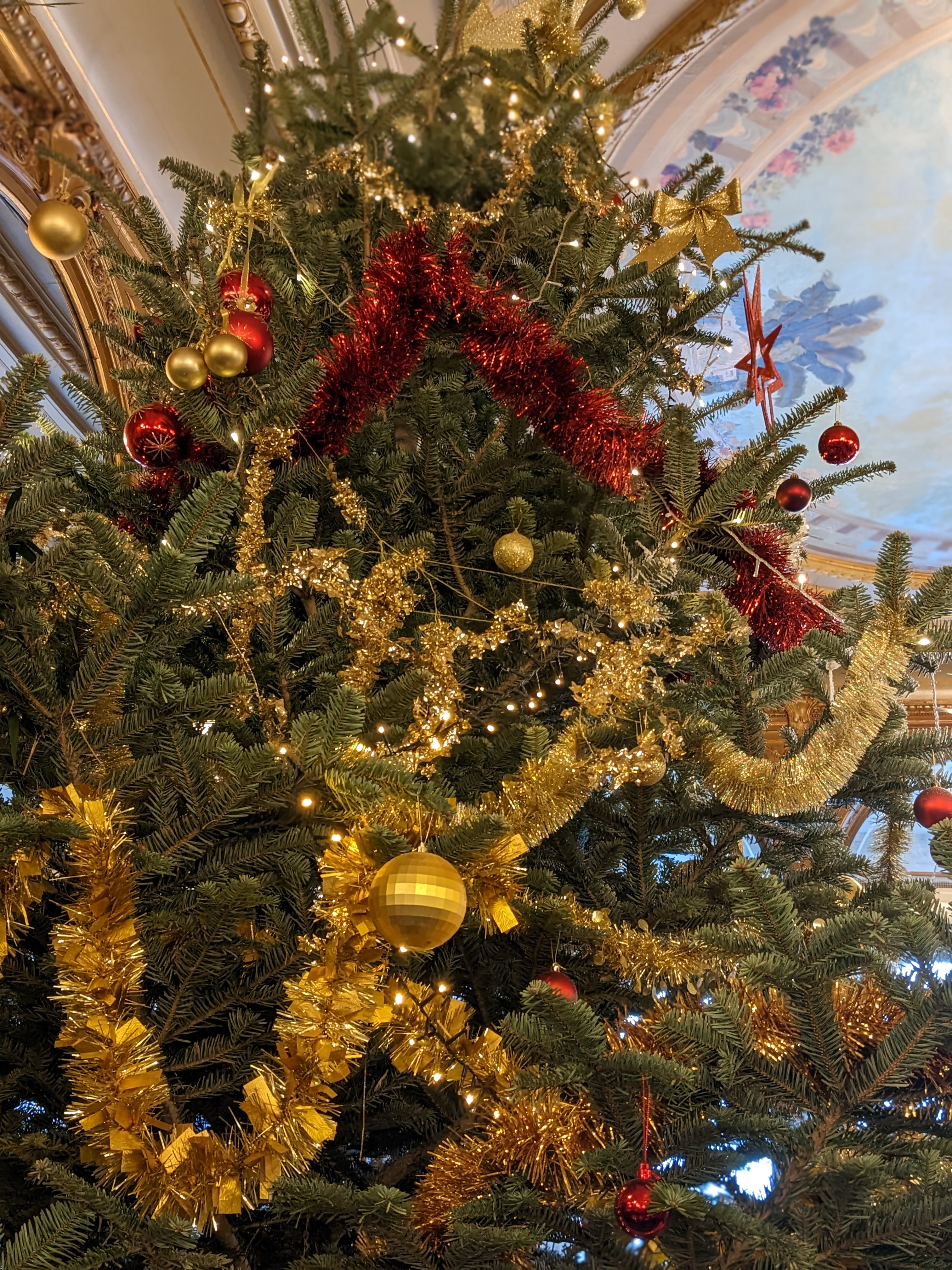 Photo n° 5 de l'avis de Marine.D fait le 18/12/2022 à 17:03