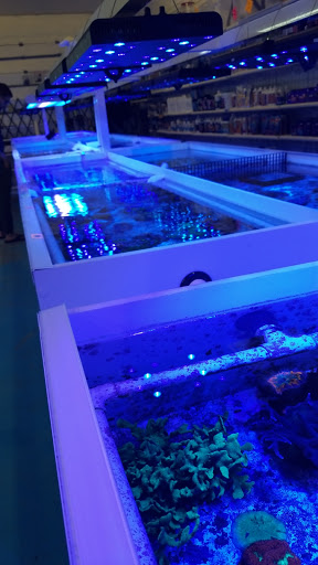 Aquarium «VIP Reef Aquarium», reviews and photos, 16300 SW 137th Ave #121, Miami, FL 33177, USA