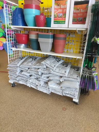 Dollar Store «Dollar Tree», reviews and photos, 4712 La Sierra Ave b, Riverside, CA 92505, USA