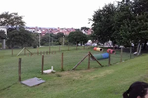 Cachorródromo Parque da Formosa image