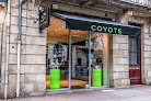 Coyote Bordeaux Bordeaux