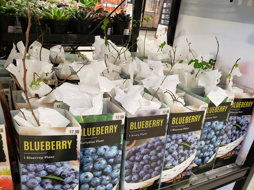 Home Improvement Store «The Home Depot», reviews and photos, 4121 U.S. 78, Lilburn, GA 30047, USA