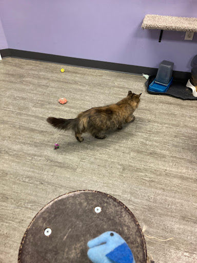 Pet Supply Store «Animal House Pet Supplies», reviews and photos, 733 Phillips Blvd, Sauk City, WI 53583, USA