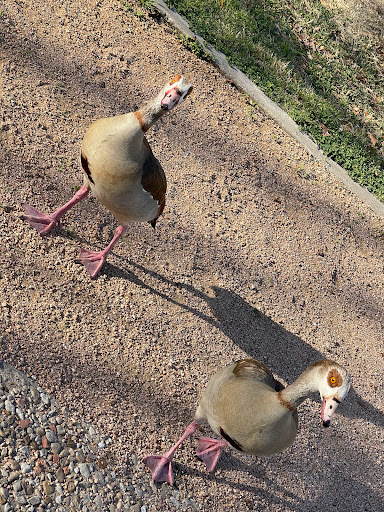 Park «Milam Park», reviews and photos, 500 W Commerce St, San Antonio, TX 78207, USA